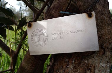 Stiftung Fondazione Il Giardino di Daniel Spoerri