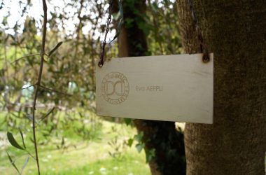 Stiftung Fondazione Il Giardino di Daniel Spoerri