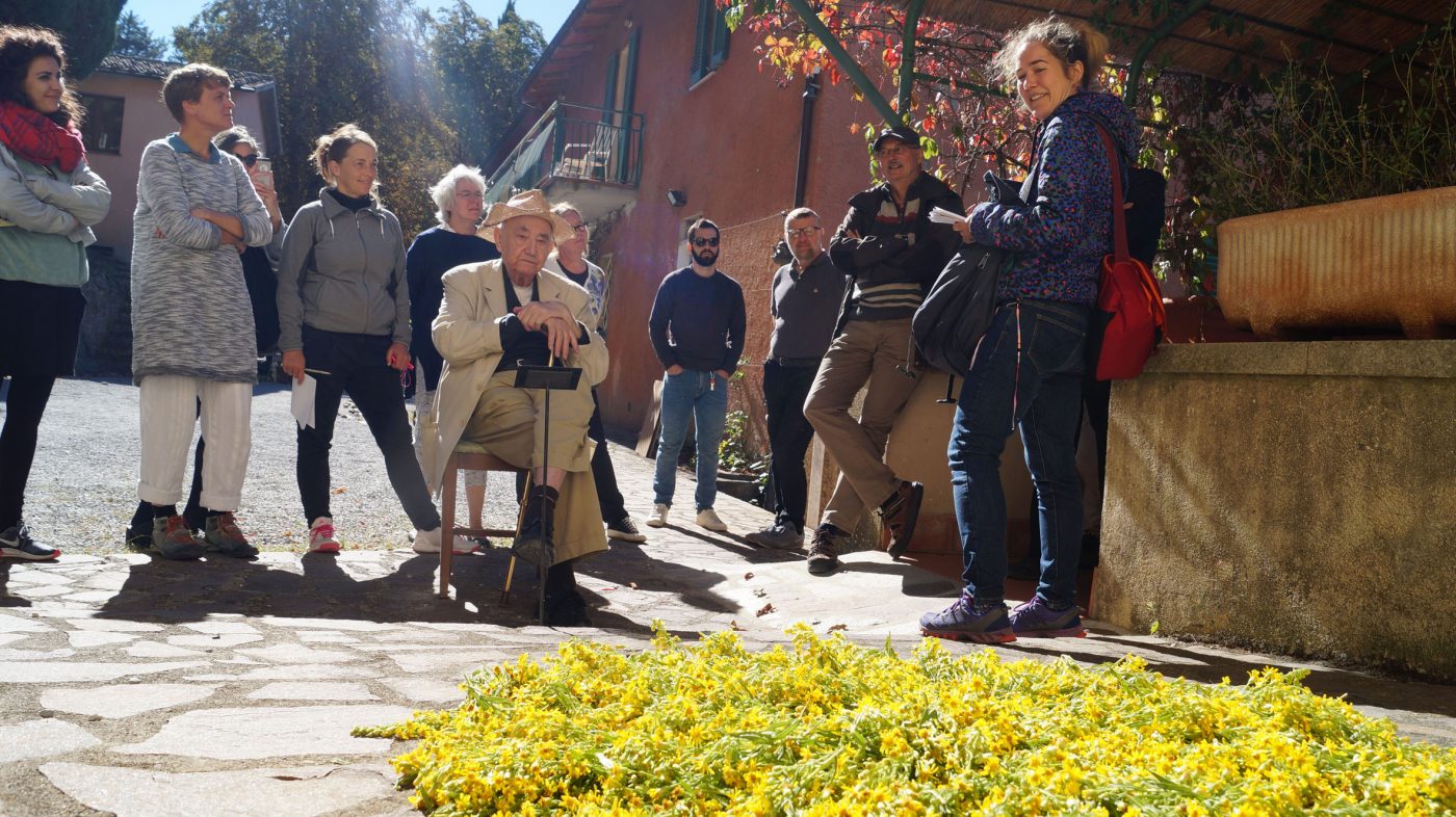 news, olive workshop, Giardino di Daniel Spoerri