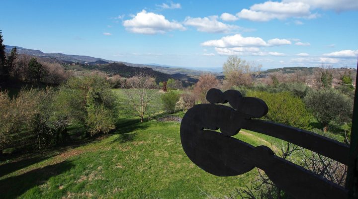 Alfonso Hüppi im Giardino di Daniel Spoerri 60