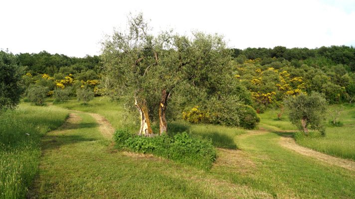 Dani Karavan im Giardino di Daniel Spoerri 72