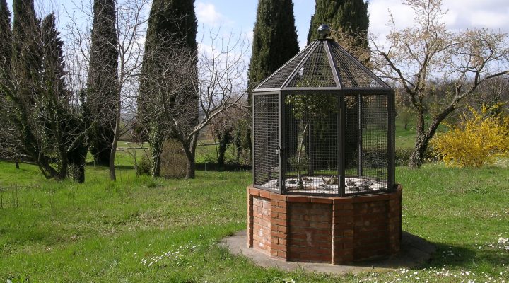 Artist Work 29-1 Giardino di Daniel Spoerri Italy