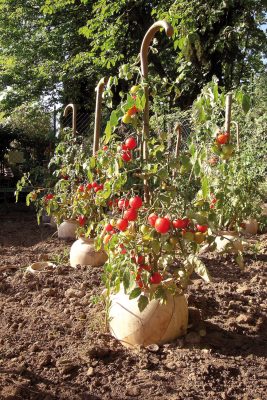 Daniel Spoerri Tomaten, Urnen Giardino 87