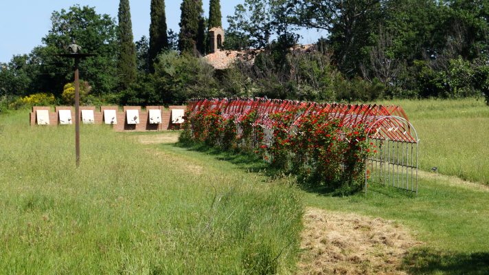 Daniel Spoerri Installation im Skulpturenpark Italien 90-91