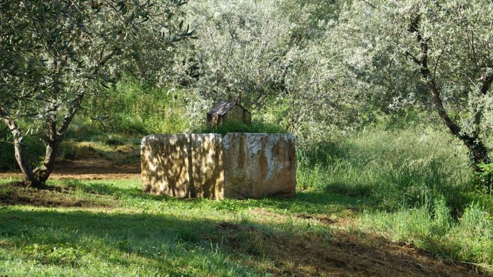 Graziano Pompili im Giardino di Daniel Spoerri 84-1