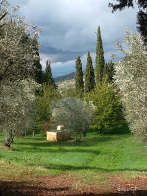 Graziano Pompili im Giardino di Daniel Spoerri 84-2