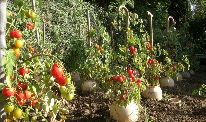 Artisti Giardino di Daniel Spoerri