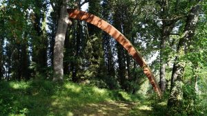 Artisto Mauro Staccioli Opera 97 Giardino di Daniel Spoerri