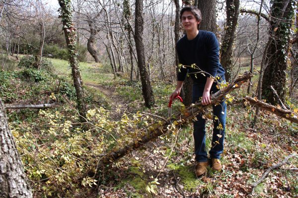 Il Giardino di Daniel Spoerri