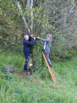 Anlegen des Skulpturengartens Il Giardino di Daniel Spoerri