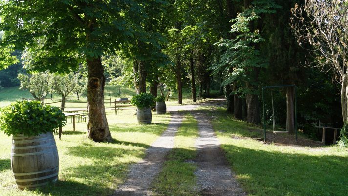 Ansichten Garten Il Giardino di Daniel Spoerri