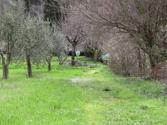 veduta Il Giardino di Daniel Spoerri