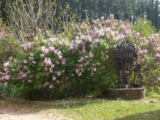 veduta Il Giardino di Daniel Spoerri