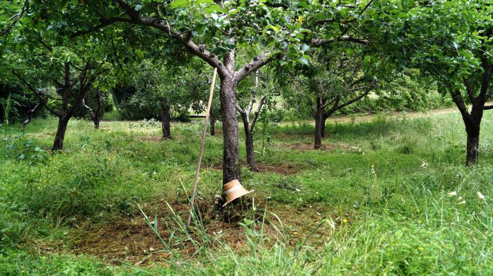 veduta Il Giardino di Daniel Spoerri