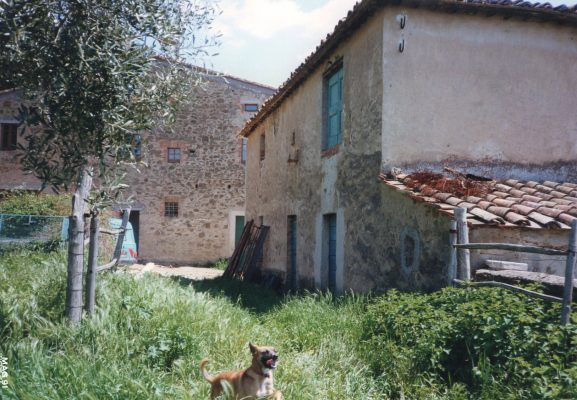 Historische Bilder Skulpurenpark Il Giardino di Daniel Spoerri