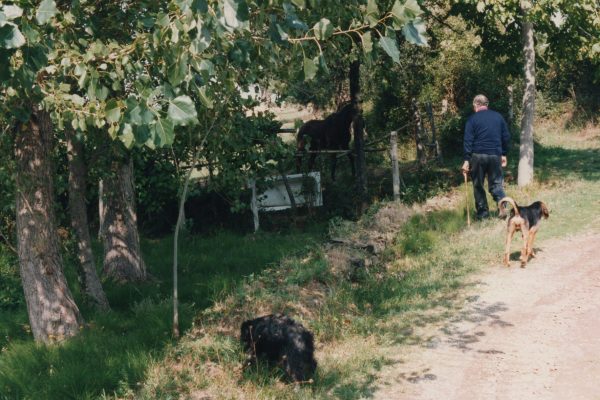 Fotografia d'epoca Il Giardino di Daniel Spoerri