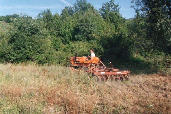 Historische Bilder Skulpurenpark Il Giardino di Daniel Spoerri