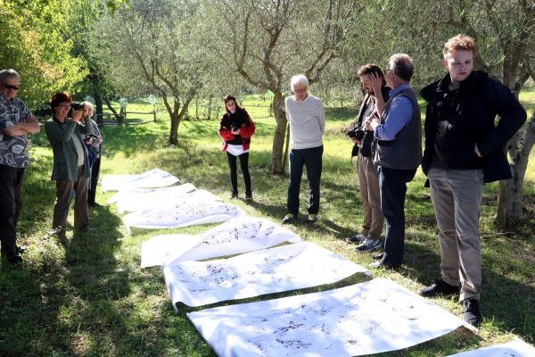 Kunst Workshops im Giardino di Daniel Spoerri Italien