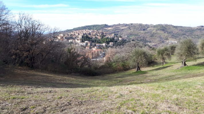 news Giardino di Daniel Spoerri